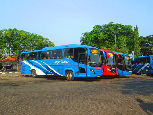 Bus Jaya utama Terbaru