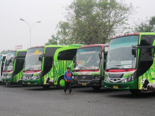 Bus Jaya utama Terbaru
